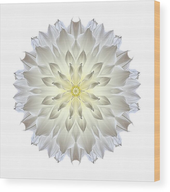 Flower Wood Print featuring the photograph Giant White Dahlia I Flower Mandala White by David J Bookbinder