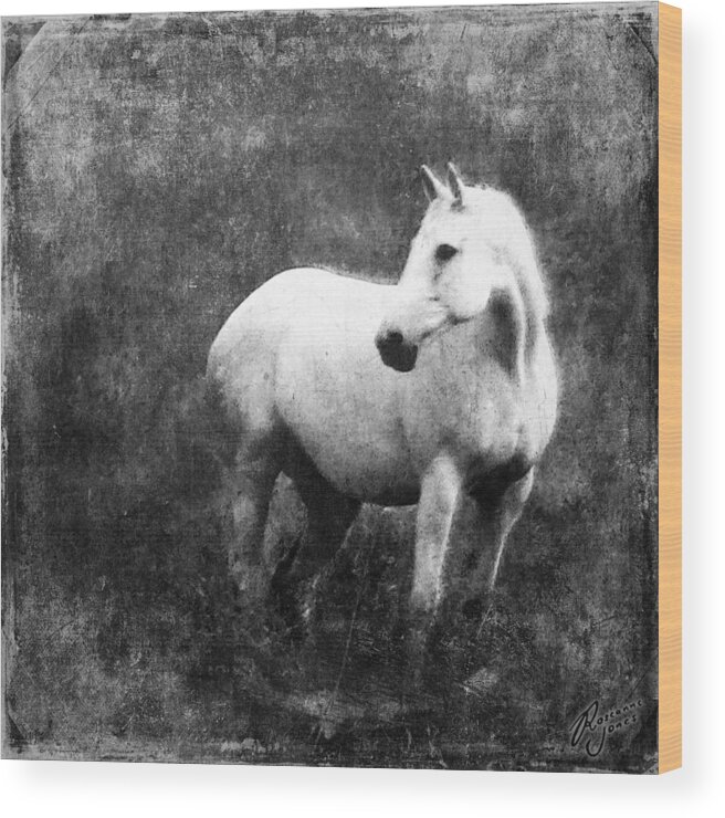 Horse Wood Print featuring the photograph White Horse by Roseanne Jones