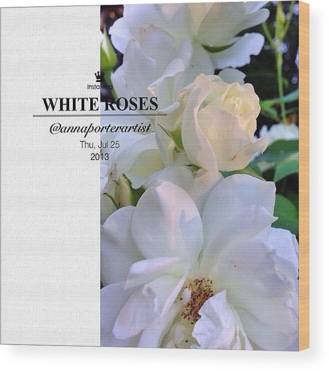 Flowers Wood Print featuring the photograph White Roses A Natural Bouquet by Anna Porter