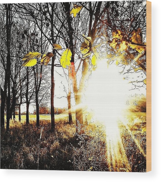 Week Wood Print featuring the photograph Why Is Today So Special? 
you Get A 3 by Joe Renaissance