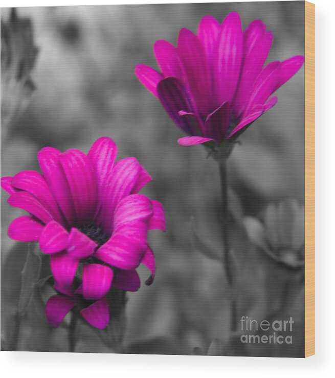 #nature Wood Print featuring the photograph Wildflower 2 by Jacquelinemari