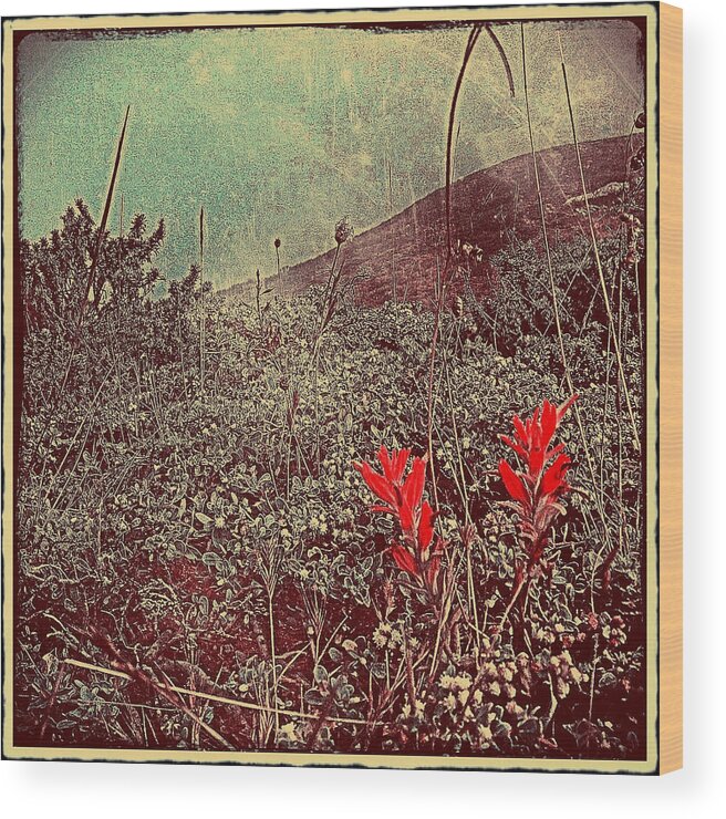 Photography Wood Print featuring the photograph Wildflower7-1 by Gregg Jabs