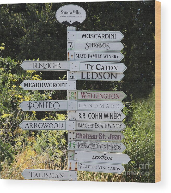 Wingsdomain Wood Print featuring the photograph Winery Street Sign In The Sonoma California Wine Country 5D24601 square by Wingsdomain Art and Photography