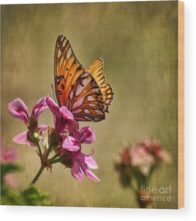 Butterfly Wood Print featuring the photograph Winged Beauty by Peggy Hughes