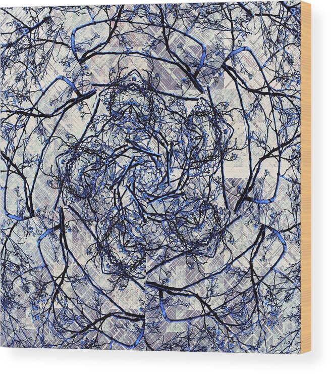 Kaleidoscope Wood Print featuring the digital art Winter Blue Kaleidoscope by Shawna Rowe