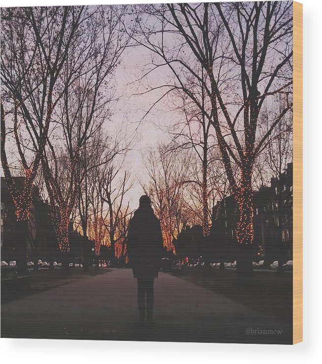 Wood Print featuring the photograph Winter Sunset on Comm Ave Mall by Brian McWilliams