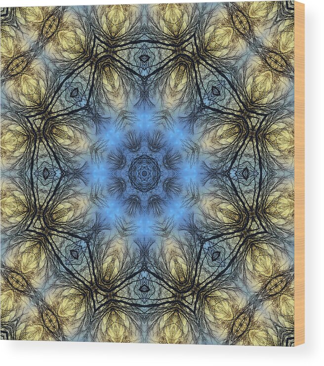 Mandala Wood Print featuring the photograph Winter Tree Mandala by Beth Sawickie