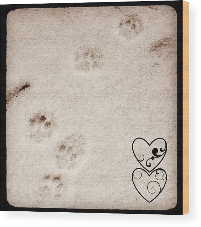 Pawprints Wood Print featuring the photograph Winter Visitor. #snow #january #winter by Teresa Mucha