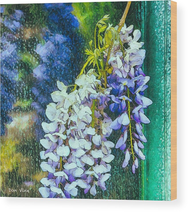  Wood Print featuring the photograph Wisteria After the Rain by Don Vine