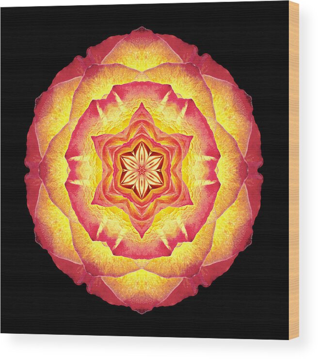 Flower Wood Print featuring the photograph Yellow and Red Rose III Flower Mandala by David J Bookbinder