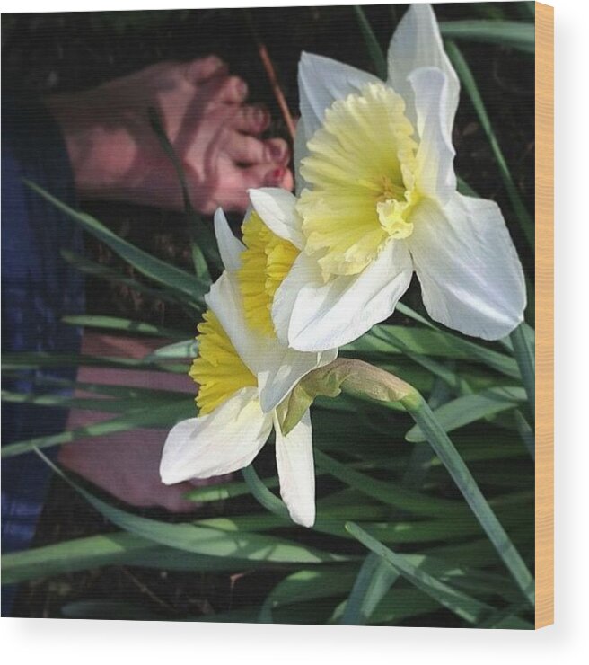  Wood Print featuring the photograph Yellow Daffodils And My Feet by Rita Frederick
