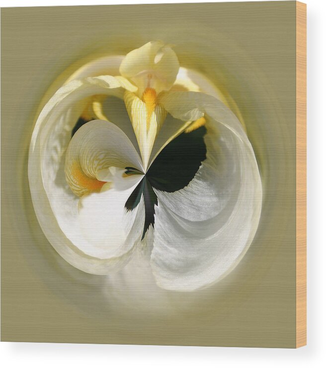 Flowers Wood Print featuring the photograph Yellow Iris 101 by Jim Baker