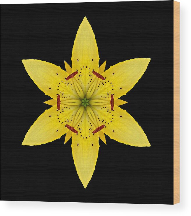 Flower Wood Print featuring the photograph Yellow Lily I Flower Mandala by David J Bookbinder