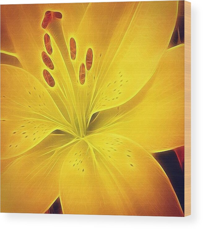  Wood Print featuring the photograph Yellow Lilly by Jason Feather