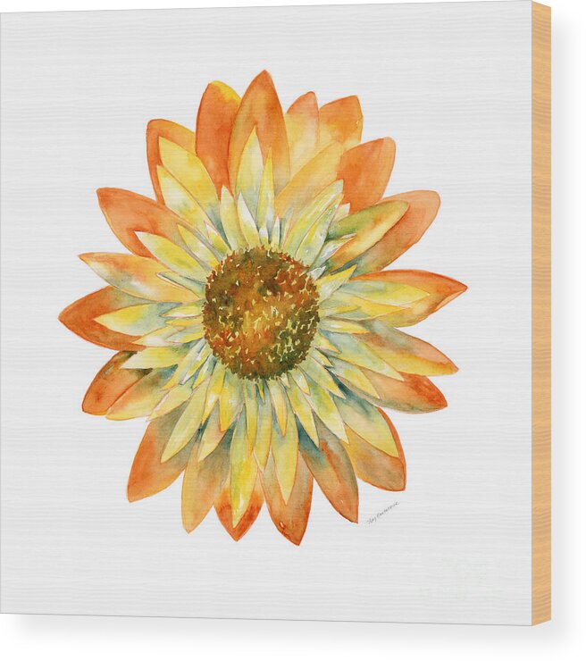 Yellow Wood Print featuring the painting Yellow Orange Daisy by Amy Kirkpatrick