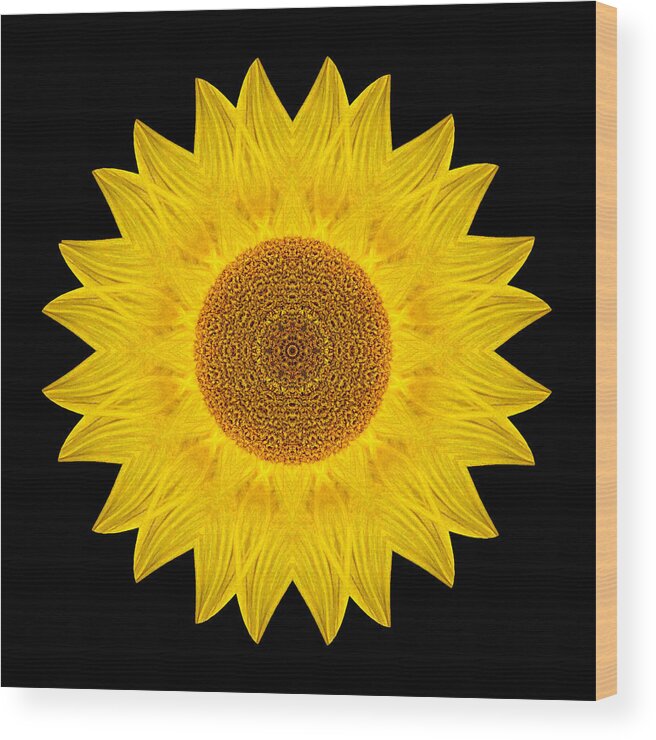 Flower Wood Print featuring the photograph Yellow Sunflower IX Flower Mandala by David J Bookbinder
