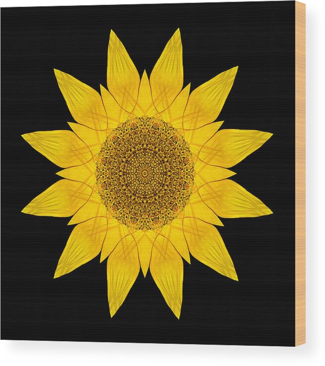 Flower Wood Print featuring the photograph Yellow Sunflower X Flower Mandala by David J Bookbinder