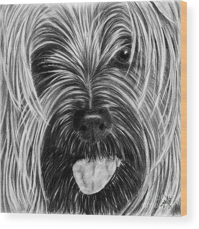Yorkie Wood Print featuring the drawing Yorkie Face by Terri Mills
