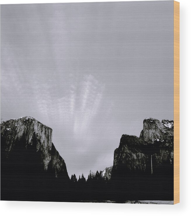 Yosemite Wood Print featuring the photograph Yosemite National Park by Shaun Higson