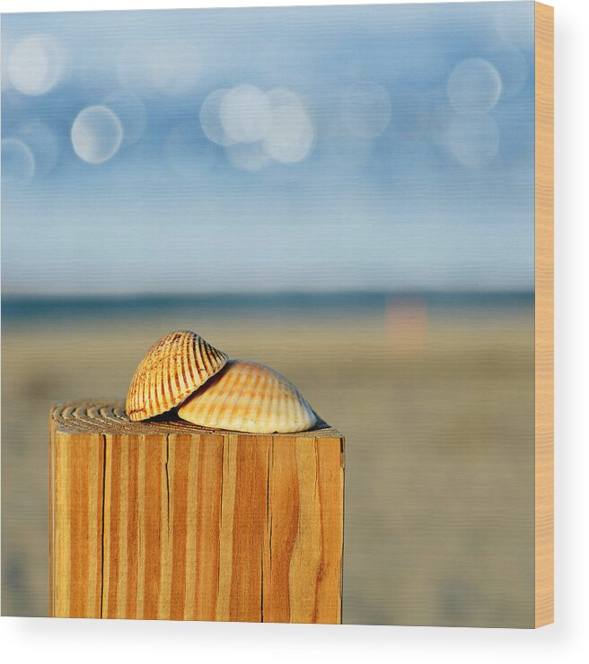 Seascapes Wood Print featuring the photograph You And Me by Laura Fasulo