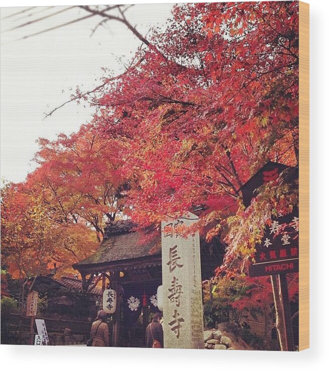 Plant Wood Print featuring the photograph #長寿寺 #紅葉 #寺 #autumn #japan by Ayami Nakamura