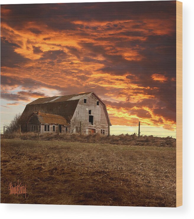 Old Barn Wood Print featuring the photograph Barn on Highway 21 by Stan Kwong