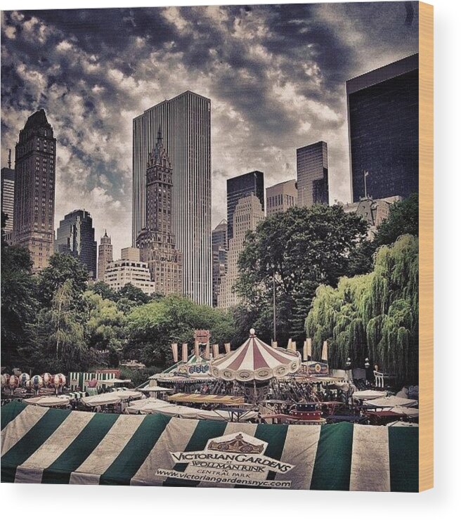 Summer Wood Print featuring the photograph Central Park - New York #1 by Joel Lopez