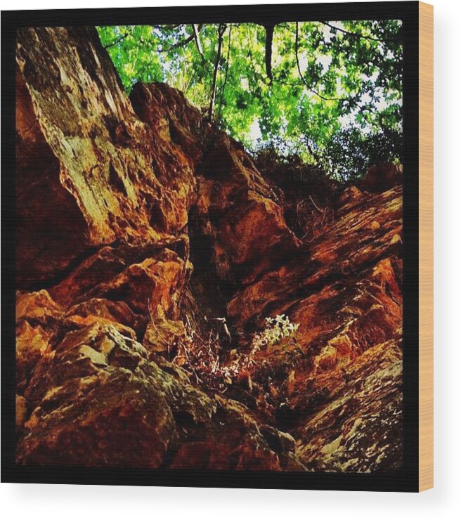 Beautiful Wood Print featuring the photograph Love This Picture? Check Out My Gallery #1 by Vassilis Valimitis