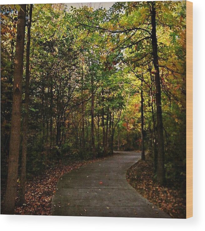 Instagram Wood Print featuring the photograph Path Less Travelled #1 by Fotochoice Photography