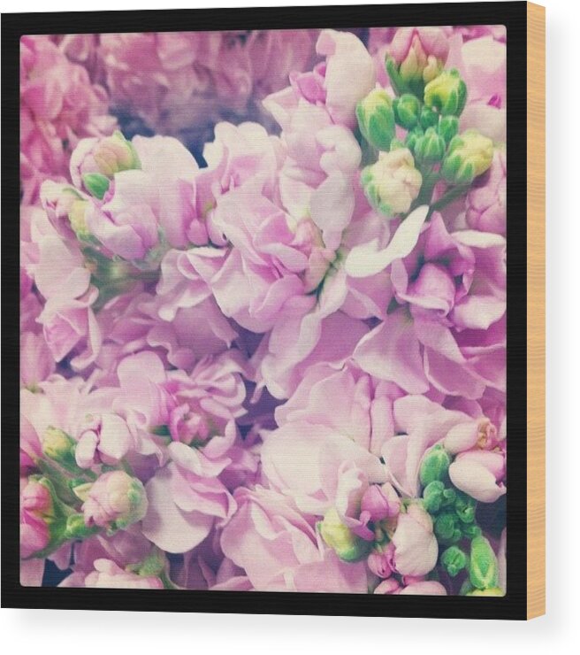 Pink Wood Print featuring the photograph Pink Petals #1 by Kristina Parker