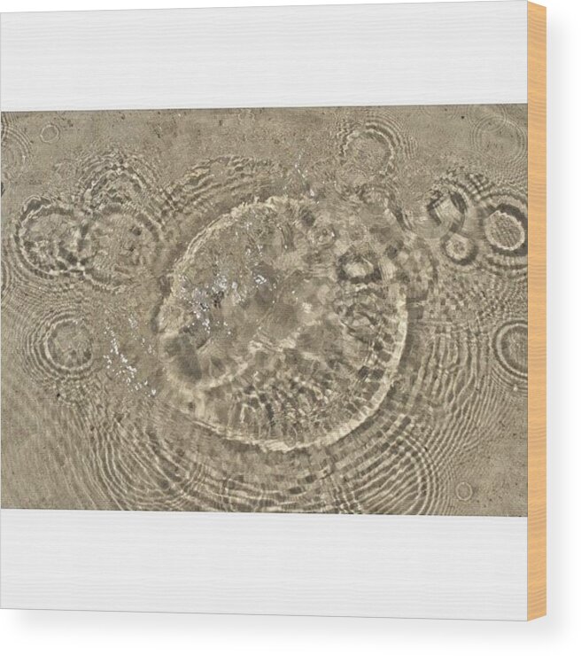 Circles Wood Print featuring the photograph #water #waterdrops #drops #droplet #1 by Emily Lippman