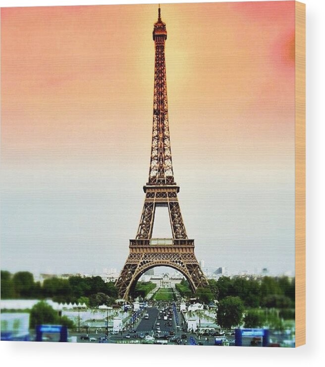  Wood Print featuring the photograph Paris #14 by Luisa Azzolini