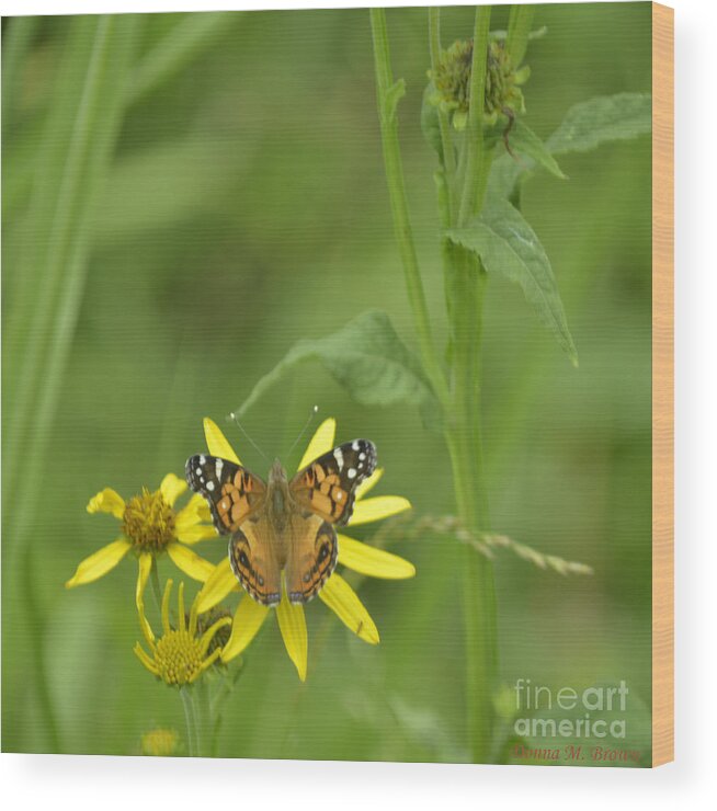 Butterfly Wood Print featuring the photograph American Painted Lady #2 by Donna Brown