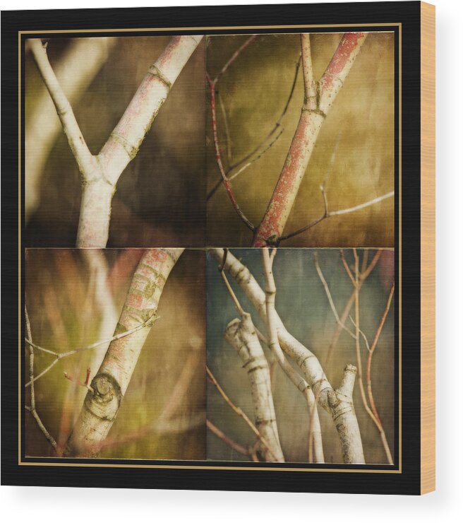 Branches Wood Print featuring the photograph Branching Out by Bonnie Bruno