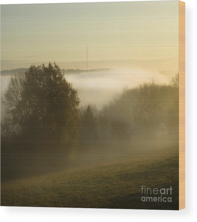 Mist Wood Print featuring the photograph Misty Morning #23 by Ang El
