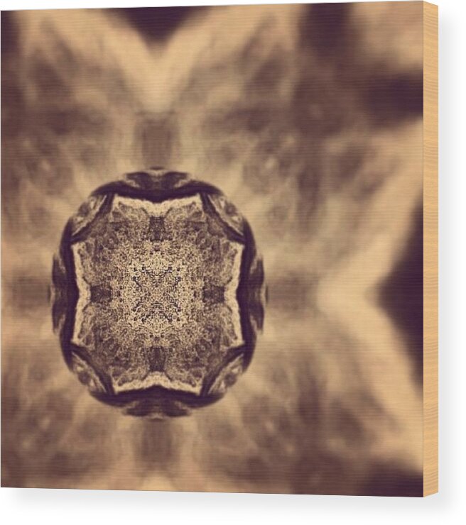 Beautiful Wood Print featuring the photograph #tagstagram .com #abstract #symmetry #392 by Dan Coyne