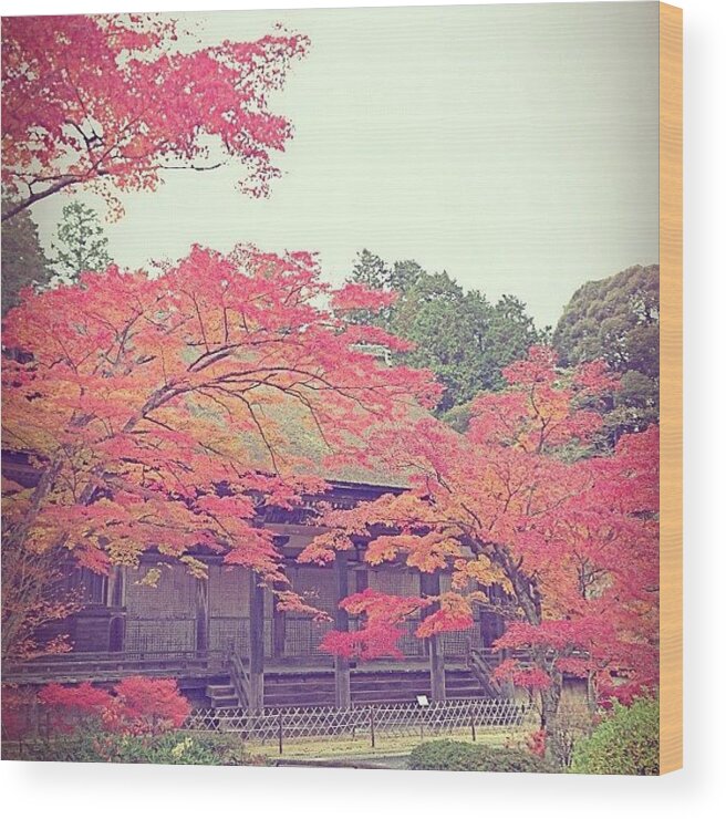 Beautiful Wood Print featuring the photograph 雨ふってきたし☔ 
#常楽寺 #4 by Ayami Nakamura