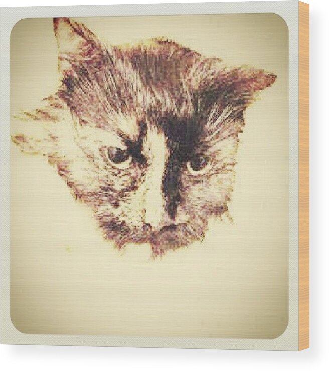  Wood Print featuring the photograph Instagram Photo #521351973645 by Jinxi The House Cat