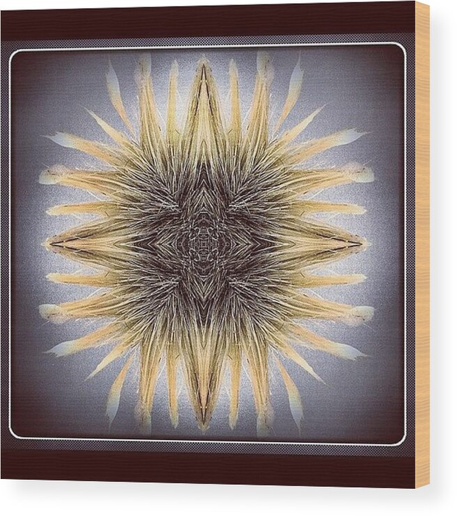 Beautiful Wood Print featuring the photograph #tagstagram .com #abstract #symmetry #94 by Dan Coyne