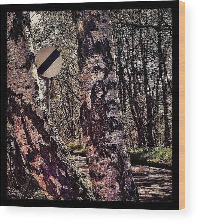 Countryside Wood Print featuring the photograph A Drive In The Countryside... #tree by Robert Campbell
