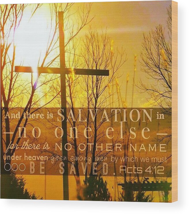 Godisgood Wood Print featuring the photograph and There Is Salvation In No One by Traci Beeson