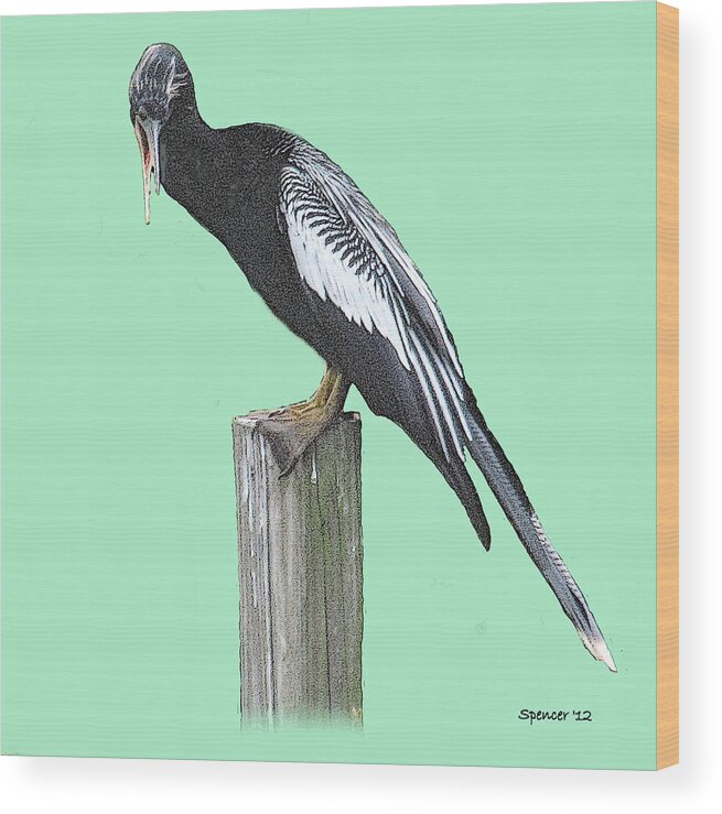 Bird Wood Print featuring the photograph Anhinga on Post 2 Digital by T Guy Spencer