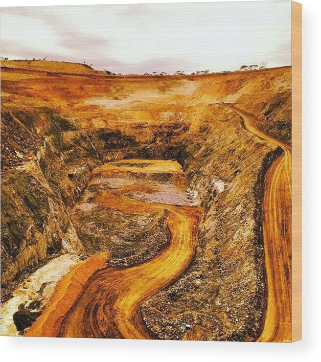 Bling Wood Print featuring the photograph Another Gold Mine Another Day! by Josh Allsop