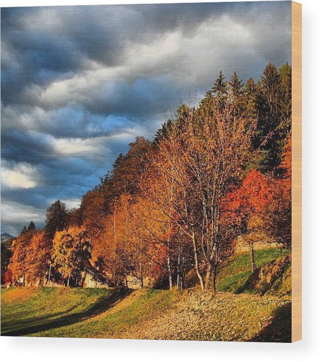  Wood Print featuring the photograph Autumn In Southtyrol by Luisa Azzolini