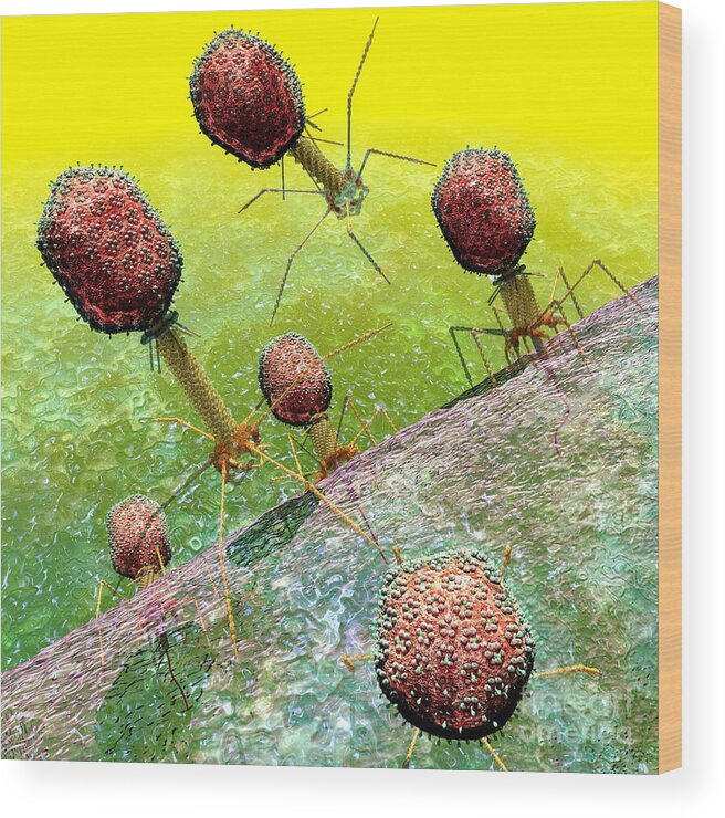 Bacteria Wood Print featuring the digital art Bacteriophage T4 virus group 2 by Russell Kightley