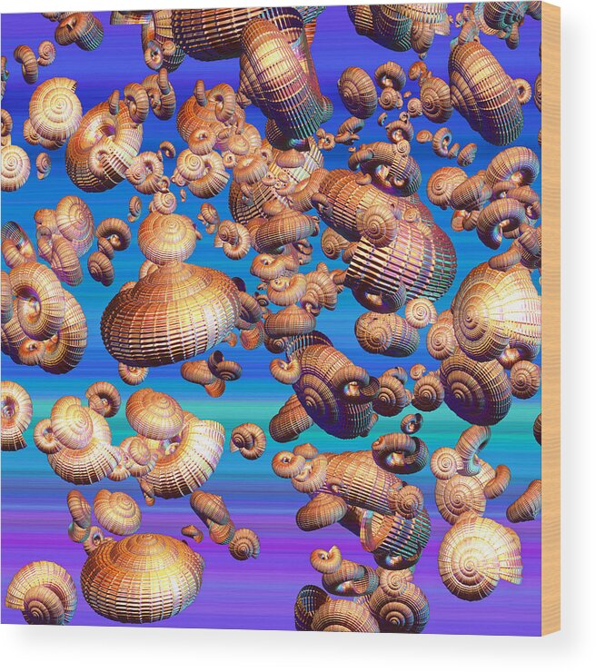 Shell Wood Print featuring the digital art Basket Snails in the Sky by Betsy Knapp