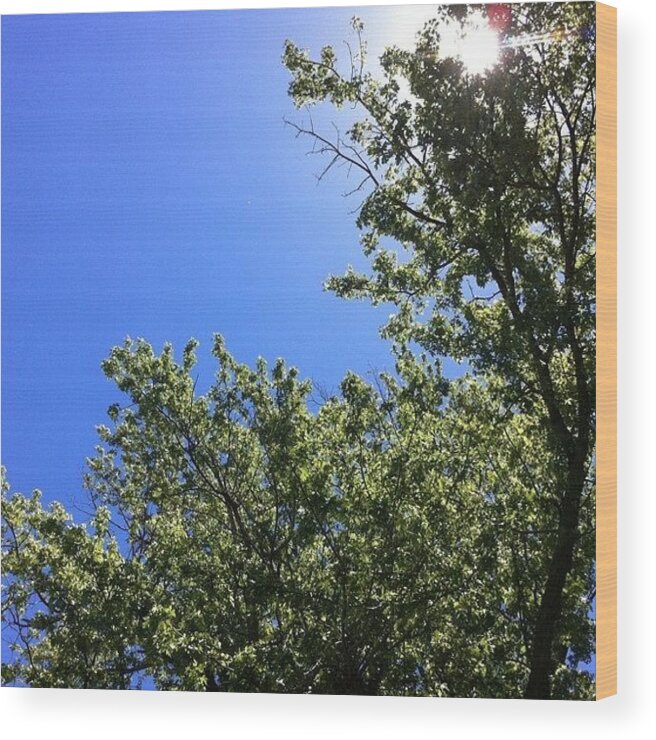  Wood Print featuring the photograph Beautiful Day Today. No Wind, No by Marc Crow