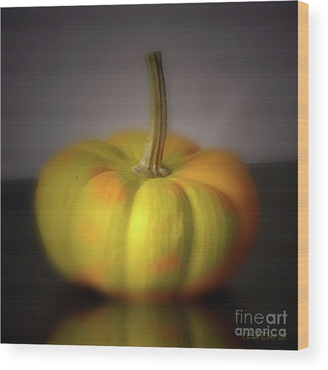 Pumpkin Wood Print featuring the photograph Big Pumpkin by Bruno Santoro