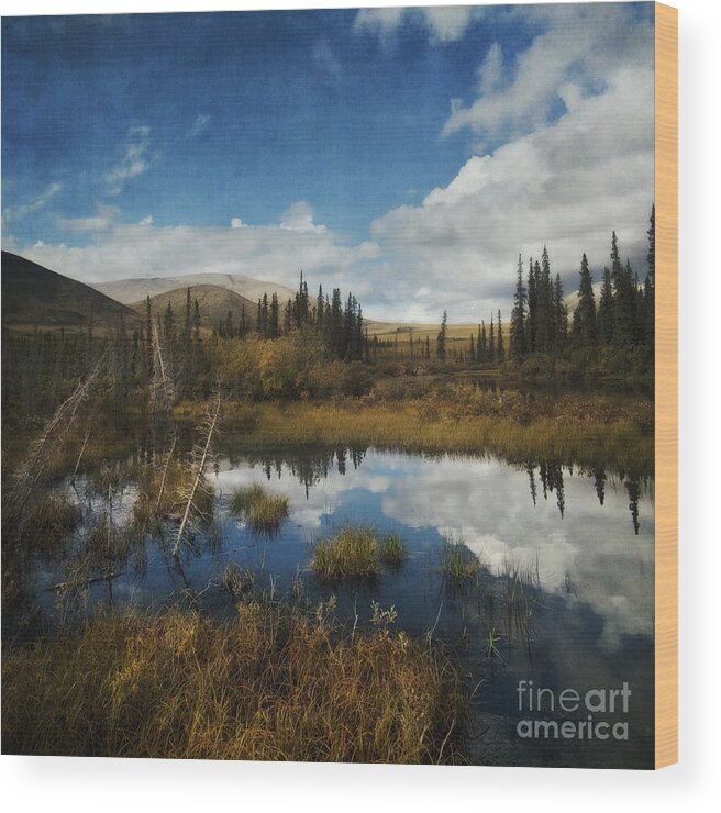 Dempster Wood Print featuring the photograph Blissful Lone Land by Priska Wettstein