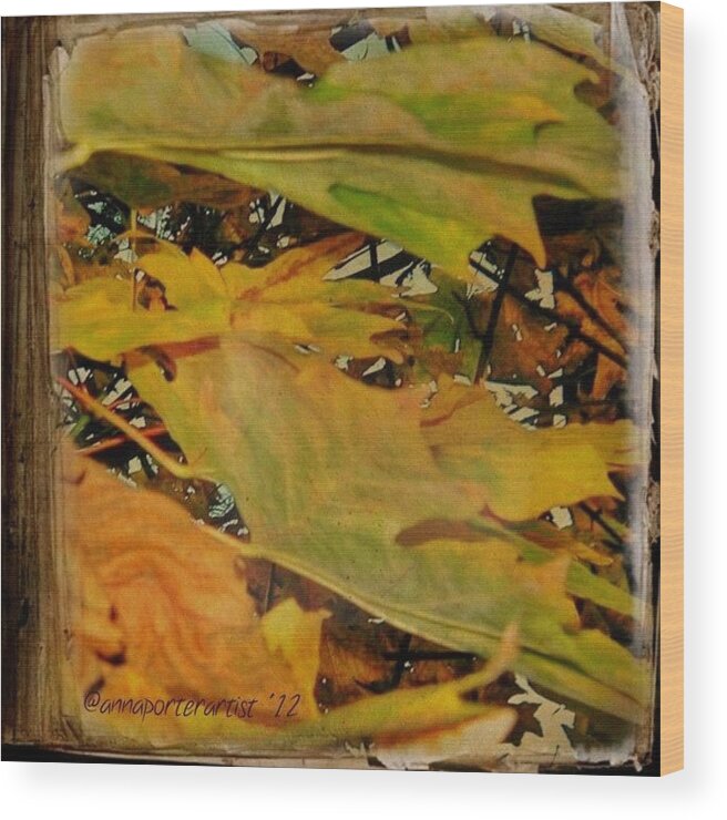 Fall Color Wood Print featuring the photograph Book Of Leaves by Anna Porter